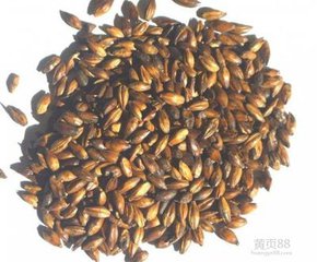 咖啡麥芽