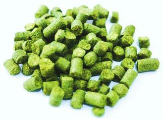 進(jìn)口薩茲香型酒花