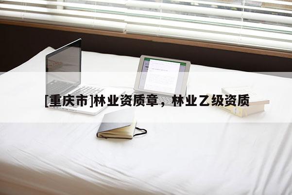 [重慶市]林業資質章，林業乙級資質