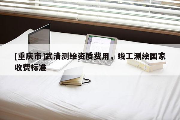[重慶市]武清測繪資質費用，竣工測繪國家收費標準