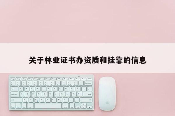 關于林業證書辦資質和 *** 的信息