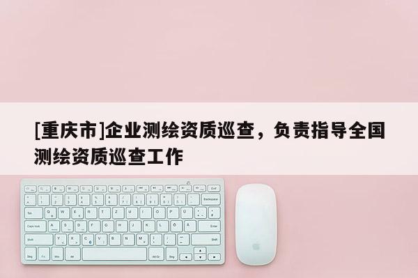 [重慶市]企業測繪資質巡查，負責指導全國測繪資質巡查工作