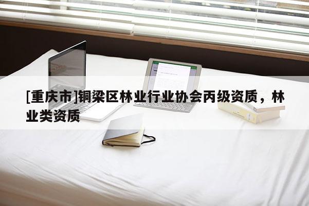 [重慶市]銅梁區林業行業協會丙級資質，林業類資質