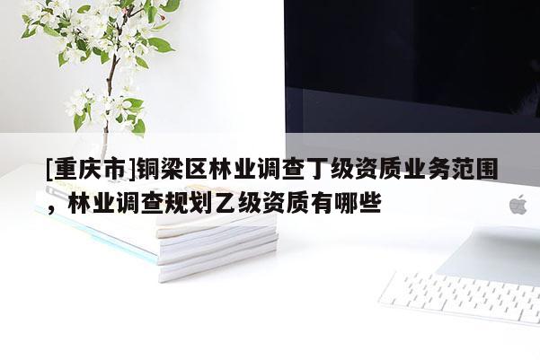 [重慶市]銅梁區林業調查丁級資質業務范圍，林業調查規劃乙級資質有哪些