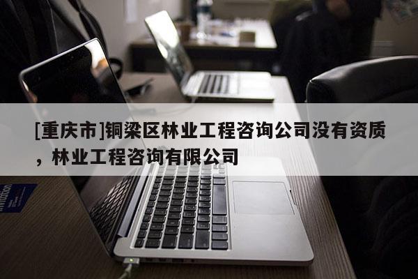 [重慶市]銅梁區林業工程咨詢公司沒有資質，林業工程咨詢有限公司