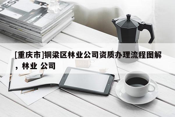 [重慶市]銅梁區林業公司資質辦理流程圖解，林業 公司