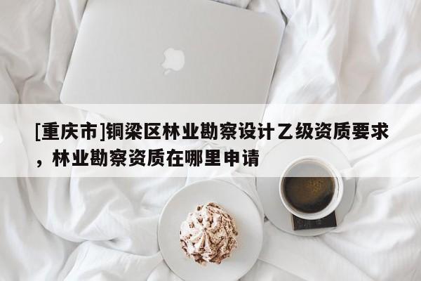[重慶市]銅梁區(qū)林業(yè)勘察設計乙級資質(zhì)要求，林業(yè)勘察資質(zhì)在哪里申請
